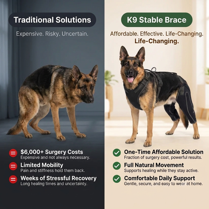 K9Stable Harness